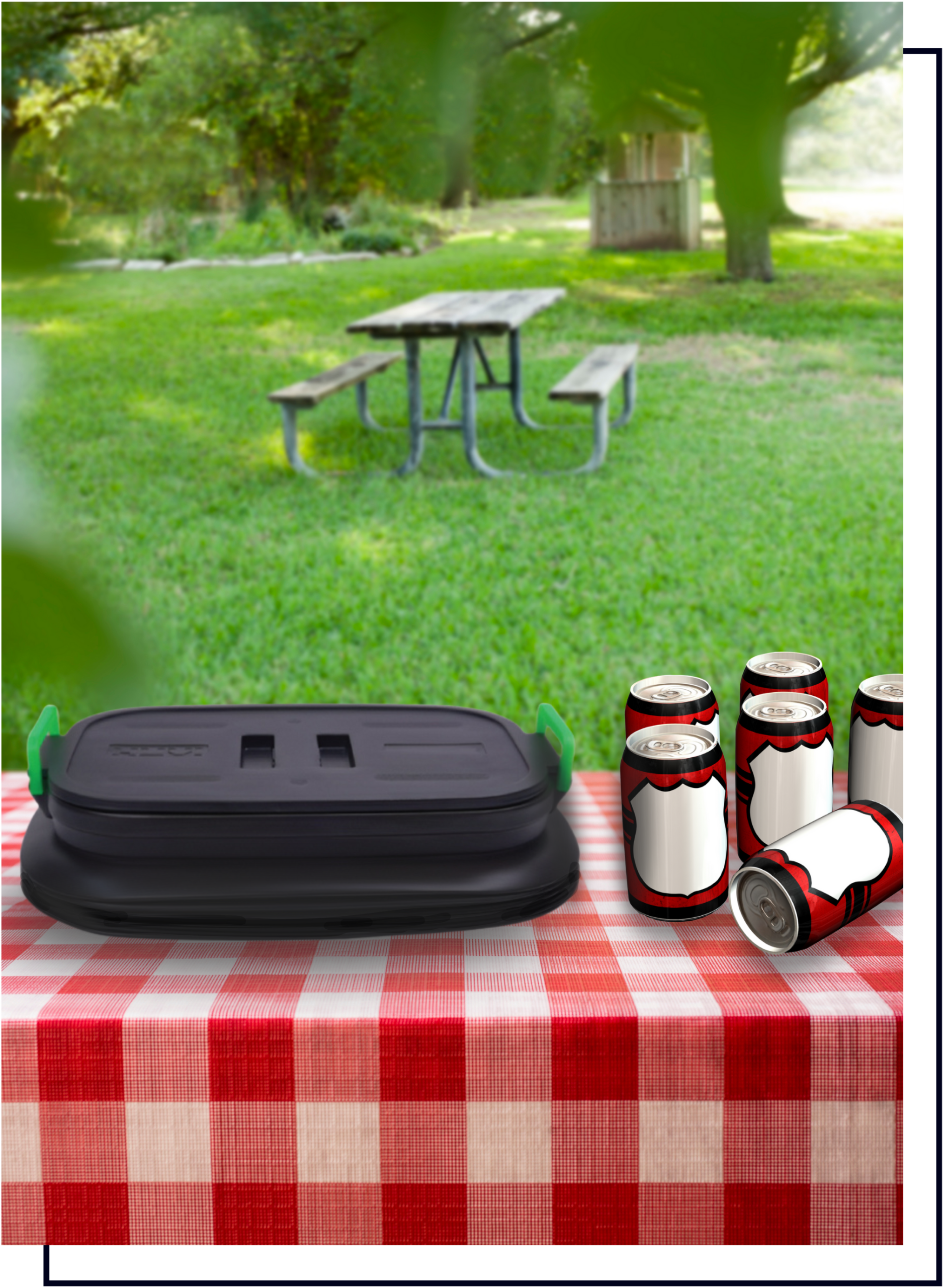 foldable luggage box 3